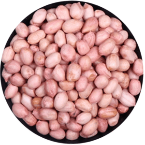 Java Peanut Seed