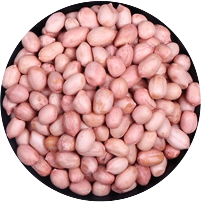 Java Peanut Seed