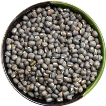 Black Gram